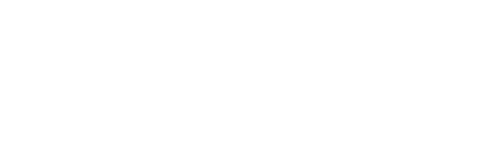 RYDION